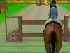 Prova di Salti di Cavallo